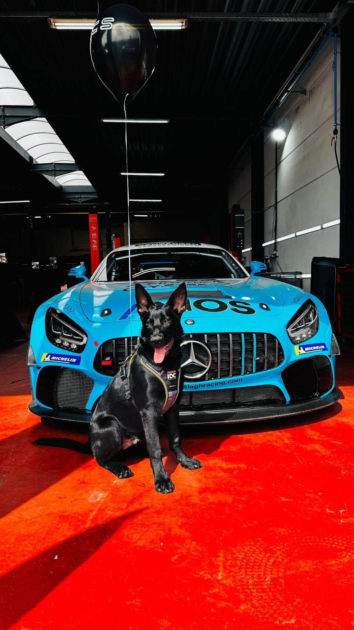 Mercedes-AMG GT4 in de werkplaats van XCS Automotive in Merchtem